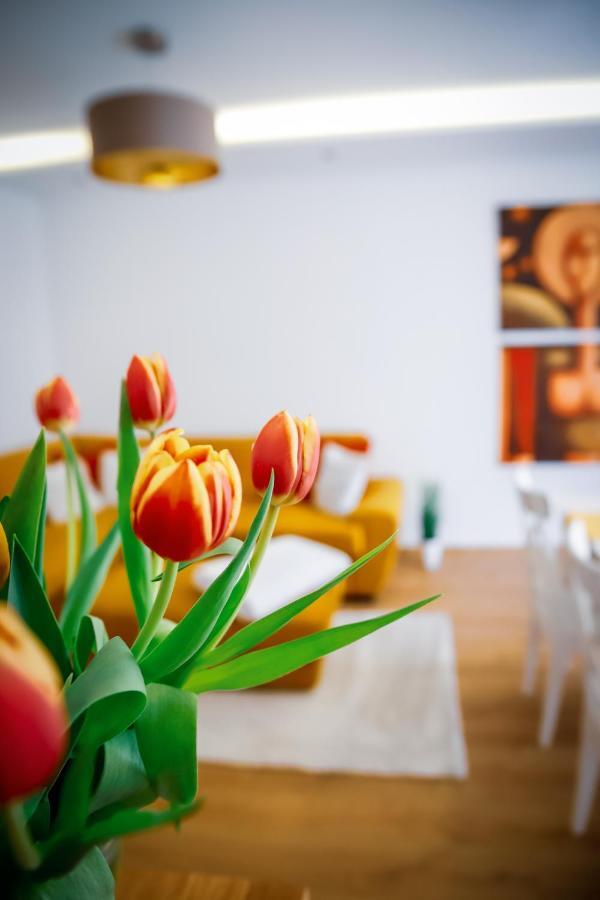 Cozy Apartment In The Downtown Gyor Exterior photo